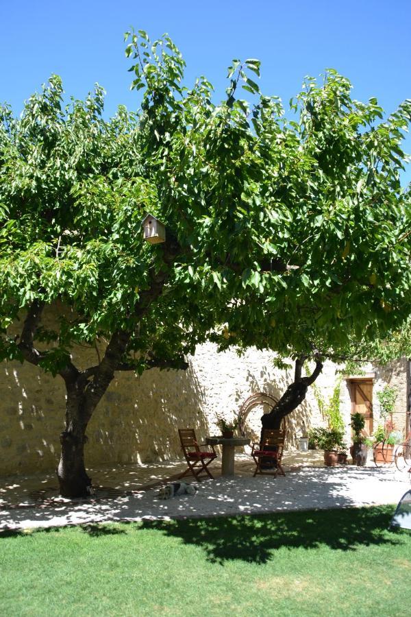 Holidays In Lagrasse Bagian luar foto